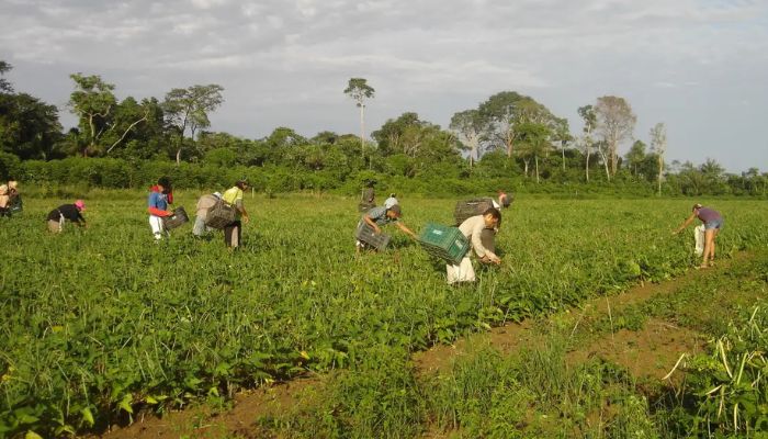  Lista de desconto em crédito para a agricultura familiar é ampliada 